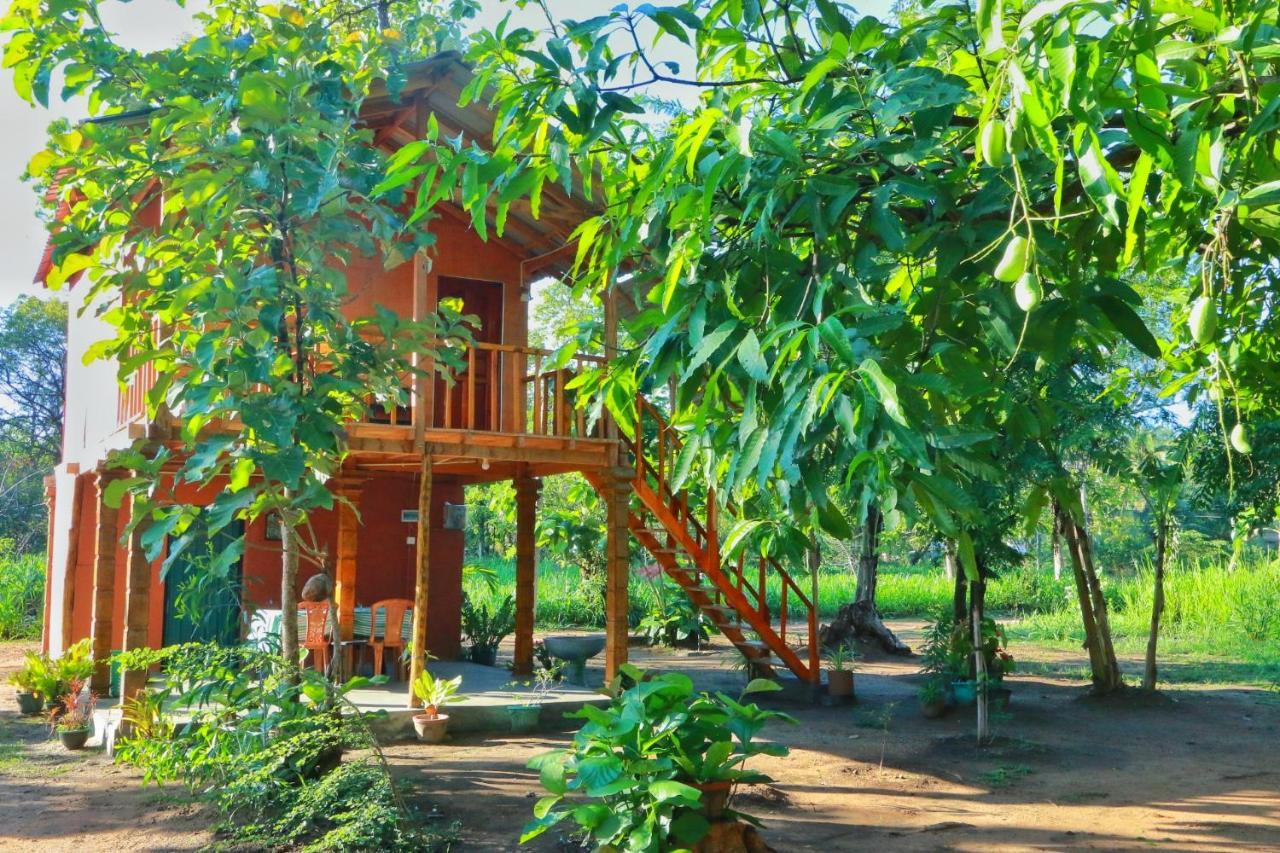 Sigiriya Free View Tree House & Villa Bagian luar foto