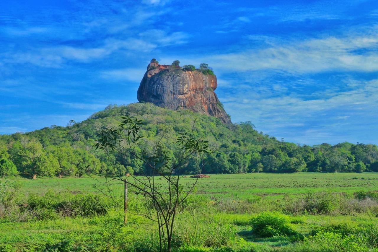 Sigiriya Free View Tree House & Villa Bagian luar foto