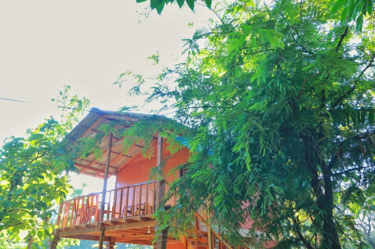Sigiriya Free View Tree House & Villa Bagian luar foto
