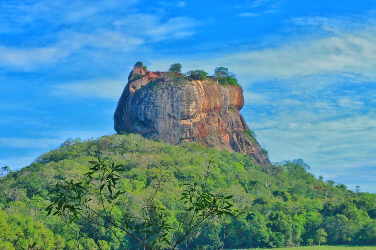 Sigiriya Free View Tree House & Villa Bagian luar foto
